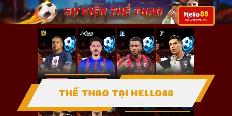 Thể Thao chất lượng cao được bet thủ yêu thích
